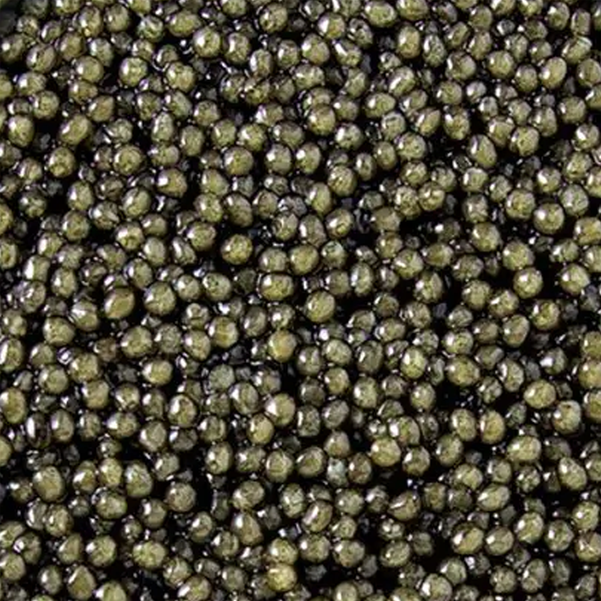 Close-up of Diamond Ossetra Caviar – Meredith Marks
