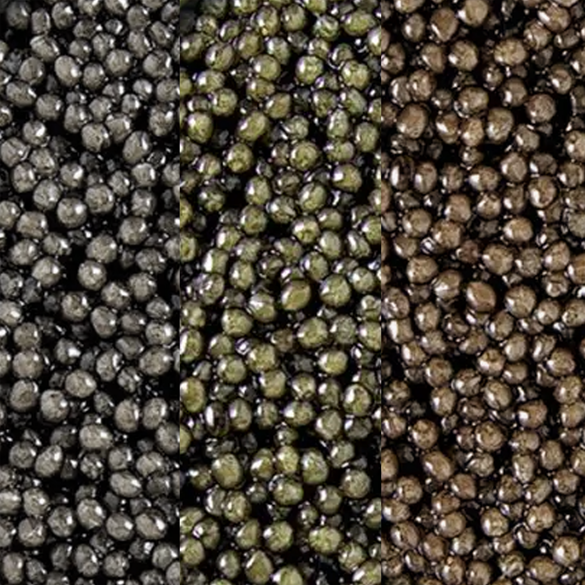 Close-up of Caviar – Meredith Marks