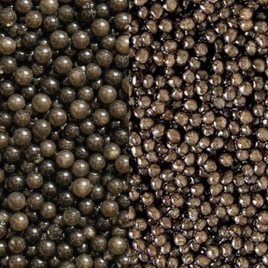 BLACK DIAMOND BELUGA HYBRID & 24 KARAT KALUGA DUO