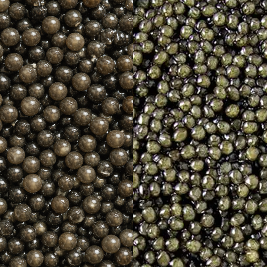 BLACK DIAMOND BELUGA HYBRID & DIAMOND OSSETRA DUO