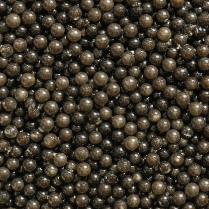 BLACK DIAMOND BELUGA HYBRID