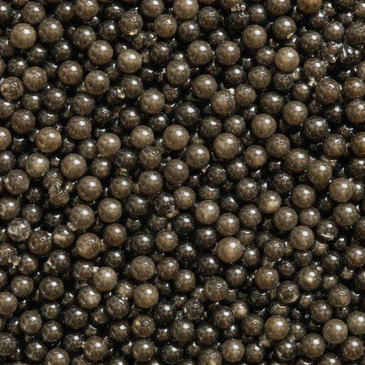 BLACK DIAMOND BELUGA HYBRID