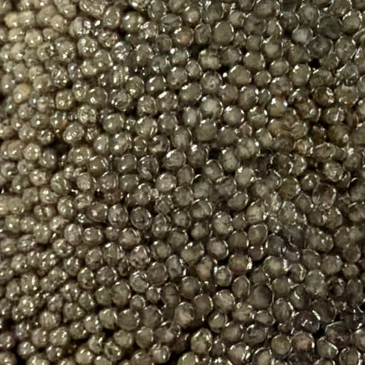 PALLADIUM PADDLEFISH